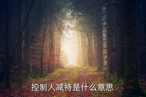 二級(jí)市場(chǎng)減持什么意思，二級(jí)市場(chǎng)買(mǎi)賣(mài)方式減持200000成交價(jià)699什么意思