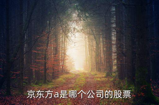 京東方a是什么企業(yè)，京東方A董事長(zhǎng)是誰(shuí)是什么企業(yè)