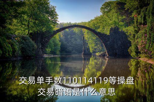 119是什么盤(pán)口暗號(hào)，交易單手?jǐn)?shù)110114119等操盤(pán)交易暗語(yǔ)是什么意思