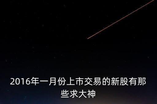 2016年1月25號(hào)什么新股上市，2016年一月份上市交易的新股有那些求大神