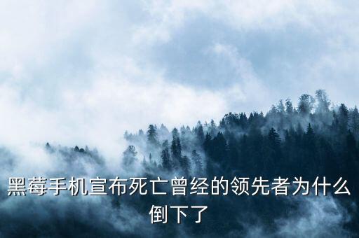 黑莓為什么失敗，黑莓手機上邊出現(xiàn)初始化失敗是什么原因