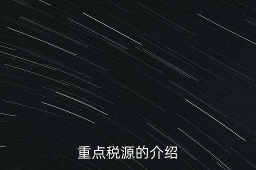 重點稅源的介紹