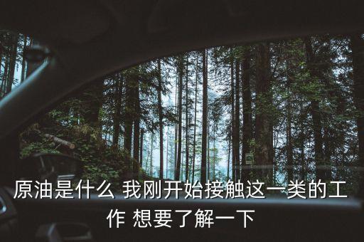 原油是什么工作，原油是什么 我剛開始接觸這一類的工作 想要了解一下