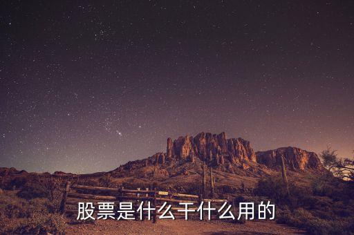 股票是什么干什么用的