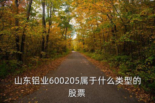 中國(guó)鋁業(yè)是什么板塊，中國(guó)鋁業(yè)屬于哪一板塊