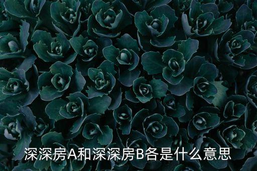 深深房A和深深房B各是什么意思