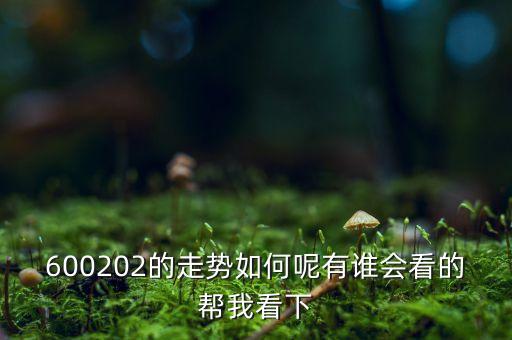 600202有什么概念，誰(shuí)能幫我分析一下600202