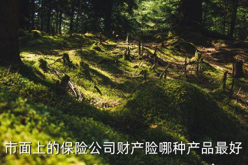 國外財(cái)險(xiǎn)公司什么險(xiǎn)種最火，市面上的保險(xiǎn)公司財(cái)產(chǎn)險(xiǎn)哪種產(chǎn)品最好