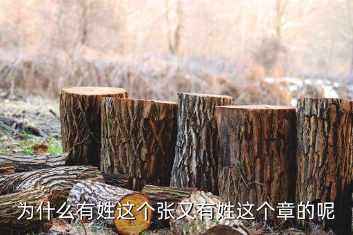 中石油黃炎什么級(jí)別，大家知道有誰姓耜
