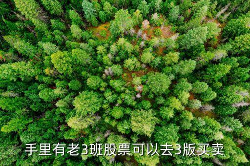 手里有老3班股票可以去3版買(mǎi)賣(mài)