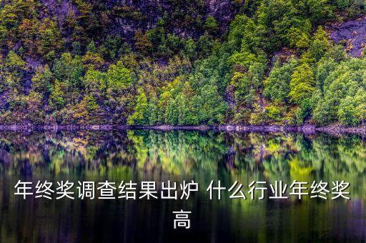 年終獎調(diào)查結果出爐 什么行業(yè)年終獎高