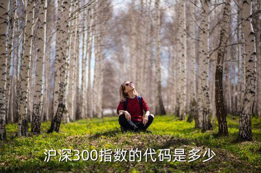 l2數(shù)據(jù)中滬深300代碼是什么，滬深300指數(shù)的代碼是多少