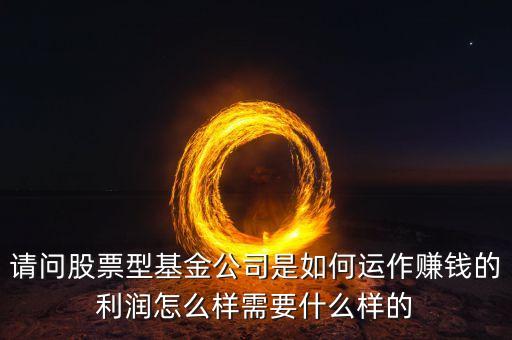 請(qǐng)問股票型基金公司是如何運(yùn)作賺錢的利潤怎么樣需要什么樣的