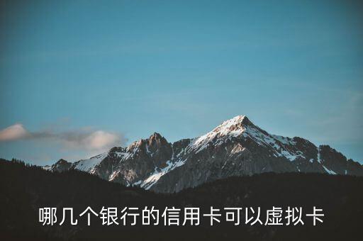 什么銀行有虛擬信用卡，信用卡虛擬卡除了廣發(fā)極客卡還有哪個(gè)銀行有
