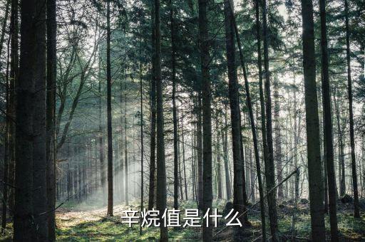 最大辛烷值桶收率是什么，有錢MM都看得懂的科普 辛烷值和壓縮比什么關(guān)系