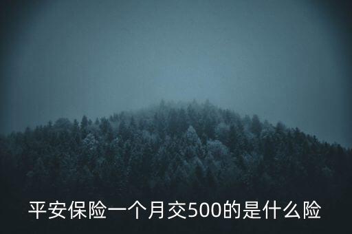 每月500有什么保險(xiǎn)業(yè)務(wù)，平安保險(xiǎn)一個(gè)月交500的是什么險(xiǎn)