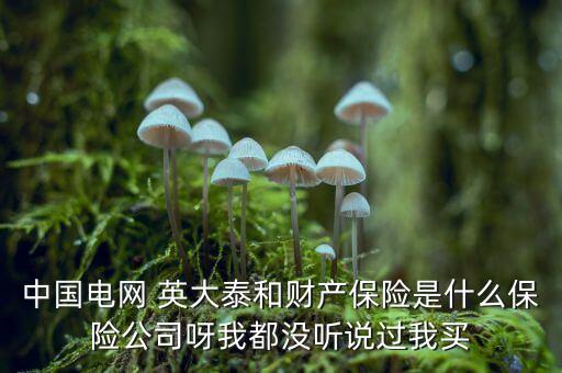 中國(guó)電網(wǎng) 英大泰和財(cái)產(chǎn)保險(xiǎn)是什么保險(xiǎn)公司呀我都沒(méi)聽(tīng)說(shuō)過(guò)我買(mǎi)