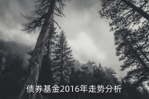2016年的債券的投資的方向是什么，債券基金2016年走勢分析