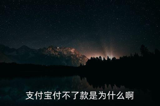 手機支付寶為什么不能付款，支付寶付不了款是為什么啊