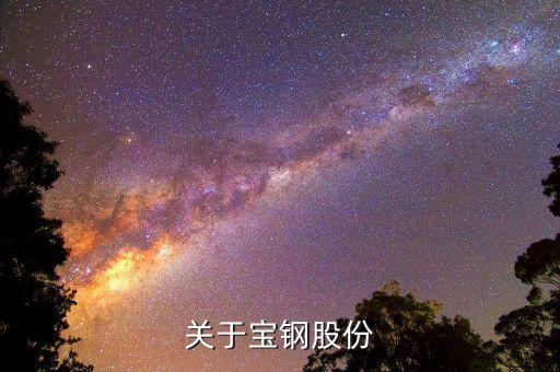 關于寶鋼股份