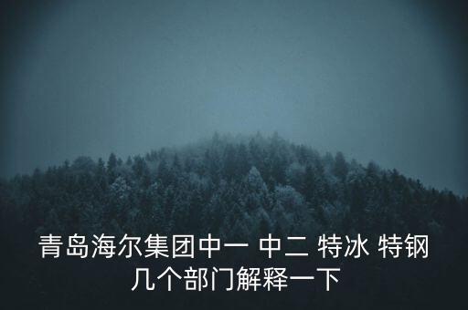 海爾內銷是什么意思，有帶鎖的冰箱么冷藏冷凍功能都要有的謝謝