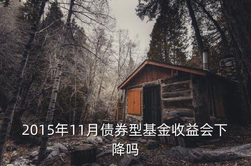 2015年11月債券型基金收益會下降嗎