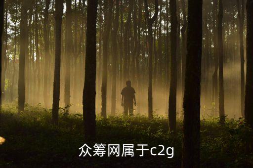 眾籌網(wǎng)是什么網(wǎng)，眾籌網(wǎng)屬于c2g