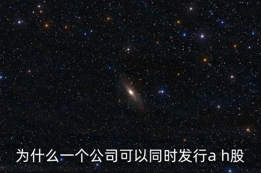 為什么一個(gè)公司可以同時(shí)發(fā)行a h股