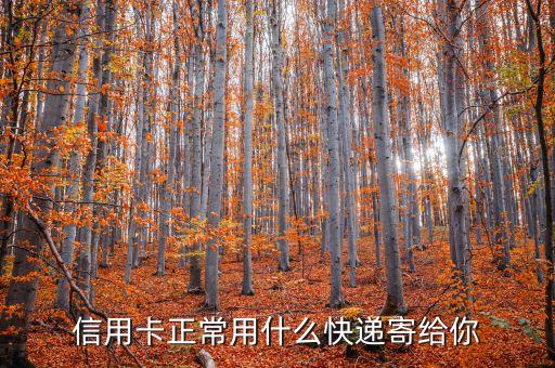 信用卡一般寄什么快遞，信用卡銀行郵遞通常用哪個快遞