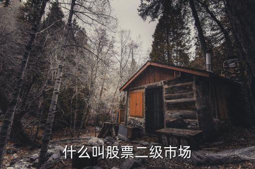 在二級市場買的股票有什么，二級市場上交易的股票