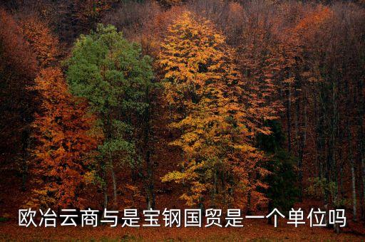歐冶金融是什么企業(yè)，鋼鐵電商歐冶云商域名是寶鋼化還是有玄機