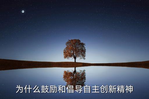 為什么鼓勵和倡導自主創(chuàng)新精神