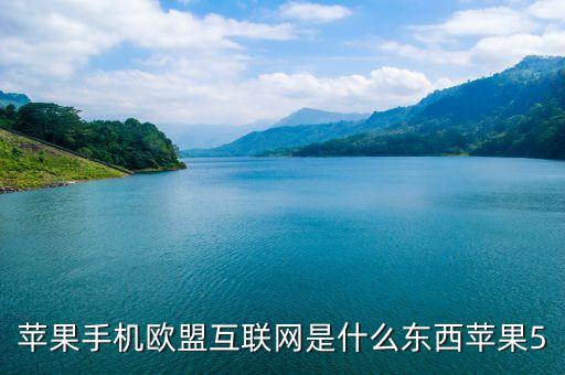 蘋果手機歐盟互聯網是什么東西蘋果5