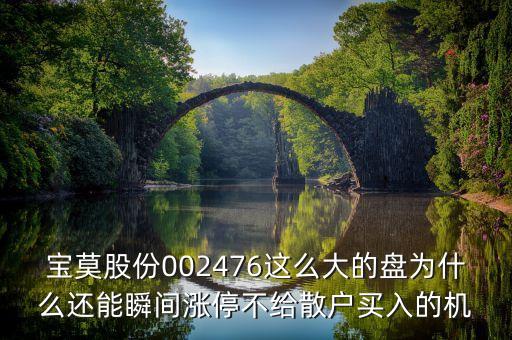 寶莫股份002476這么大的盤為什么還能瞬間漲停不給散戶買入的機