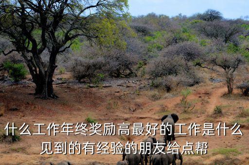 什么工作年終獎勵高最好的工作是什么見到的有經(jīng)驗的朋友給點幫