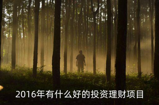 2016投資什么，適合2016年投資創(chuàng)業(yè)的項目有哪些