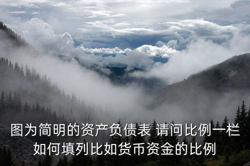 圖為簡(jiǎn)明的資產(chǎn)負(fù)債表 請(qǐng)問(wèn)比例一欄如何填列比如貨幣資金的比例