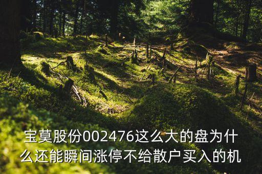 寶莫股份002476這么大的盤為什么還能瞬間漲停不給散戶買入的機
