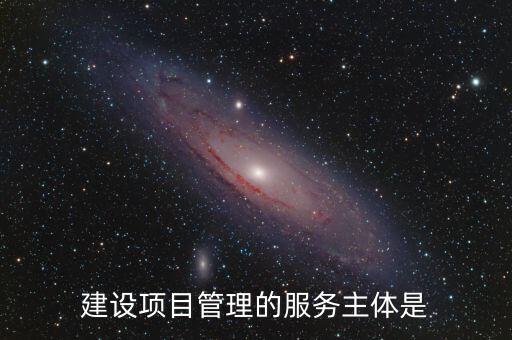 建設(shè)項目管理的服務(wù)主體是