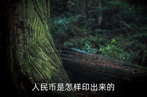 人民幣是怎樣印出來(lái)的