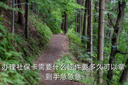 辦理社?？ㄐ枰裁醋C件要多久可以拿到手急急急