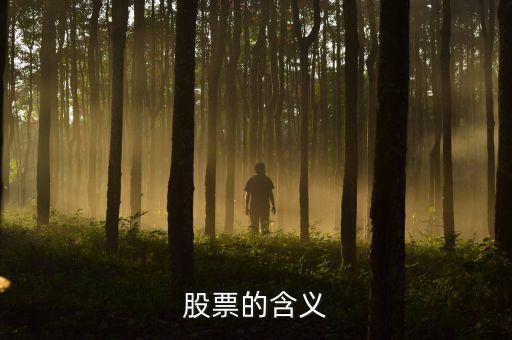 股票有什么用，股票的作用有哪些