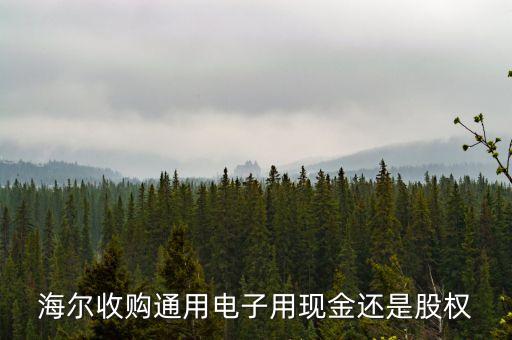 海爾為什么收購?fù)ㄓ茫柺召復(fù)ㄓ秒娮佑矛F(xiàn)金還是股權(quán)