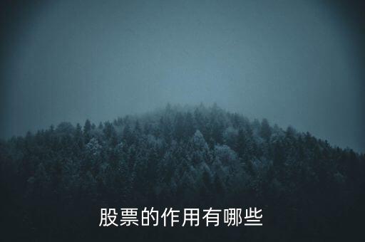 股票的作用有哪些