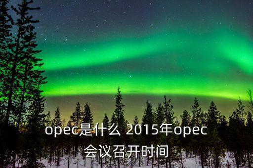 什么是opec會議，OPEC石油會議是什么時候召開啊石油價格會受影響嗎