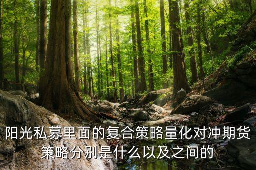 陽光私募里面的復(fù)合策略量化對沖期貨策略分別是什么以及之間的