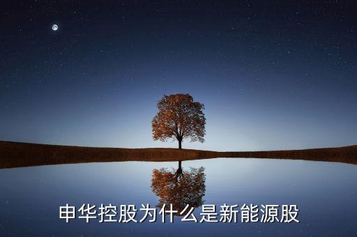 申華控股主要經(jīng)營什么，申華控股主要經(jīng)營項(xiàng)目