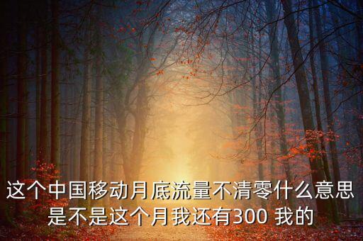 這個(gè)中國移動月底流量不清零什么意思是不是這個(gè)月我還有300 我的