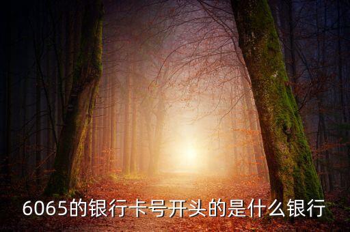 6055開頭是什么銀行，6055開頭是什么銀行的 急求