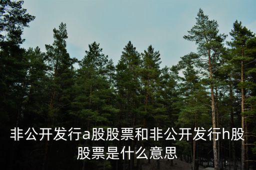 為什么發(fā)行h股，非公開發(fā)行a股股票和非公開發(fā)行h股股票是什么意思